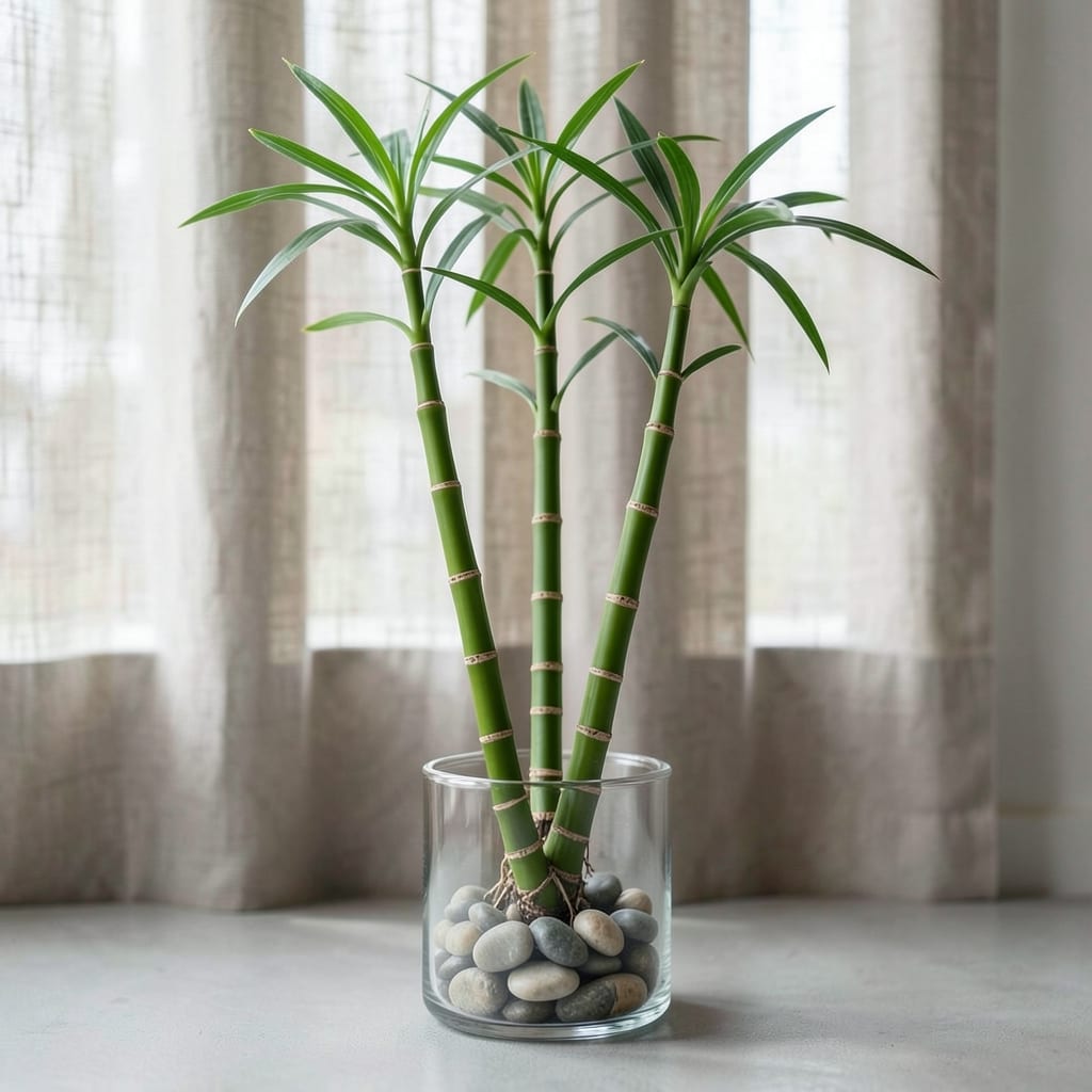 How Tall Do Bamboo Plants Grow: Variety-Specific Heights & Space Planning Guide